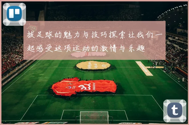 拔足球的魅力与技巧探索让我们一起感受这项运动的激情与乐趣