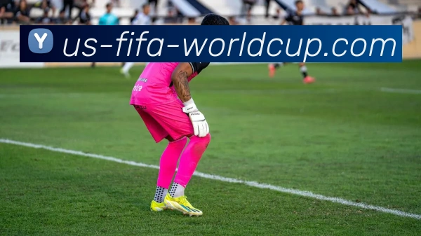 世界杯服务体系